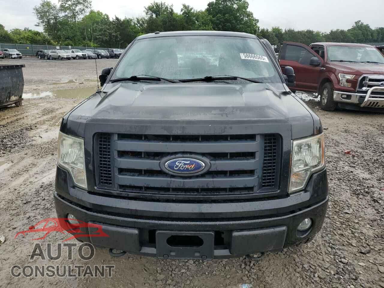 FORD F-150 2011 - 1FTFX1EF7BFA99425