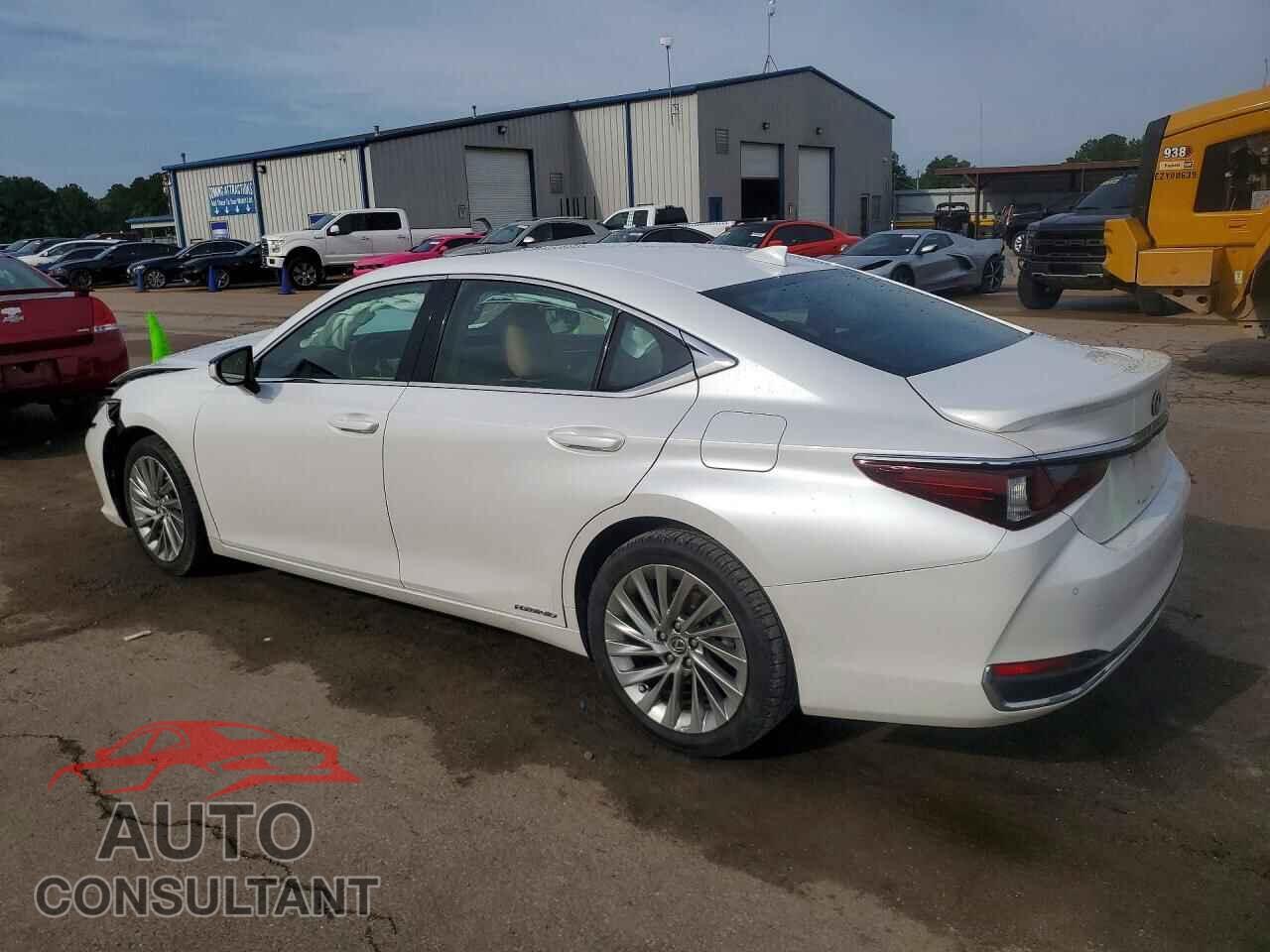 LEXUS ES300 2022 - 58AFA1C14NU019480
