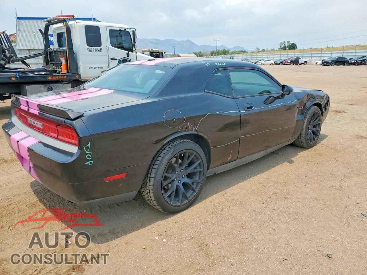 DODGE CHALLENGER 2010 - 2B3CJ4DVXAH240789