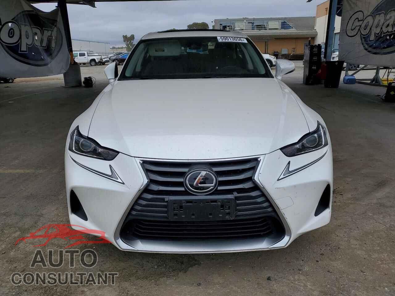 LEXUS IS 2019 - JTHBA1D29K5087778