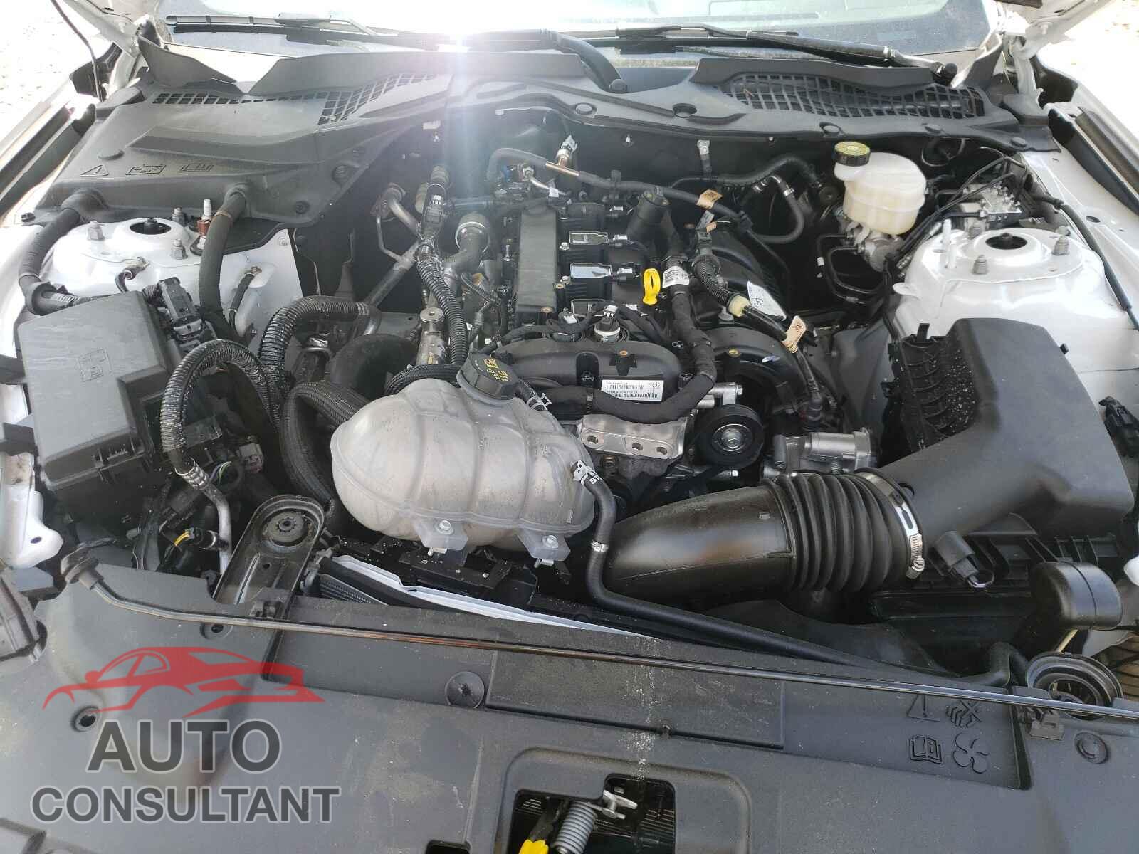 FORD MUSTANG 2021 - 1FA6P8TH9M5113904