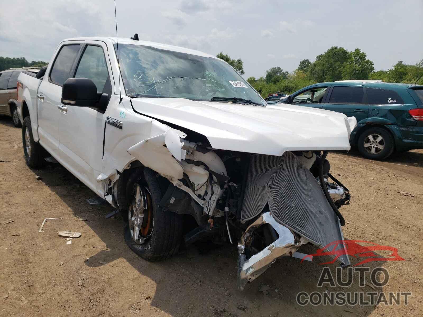 FORD F-150 2019 - 1FTEW1EP9KFD11491