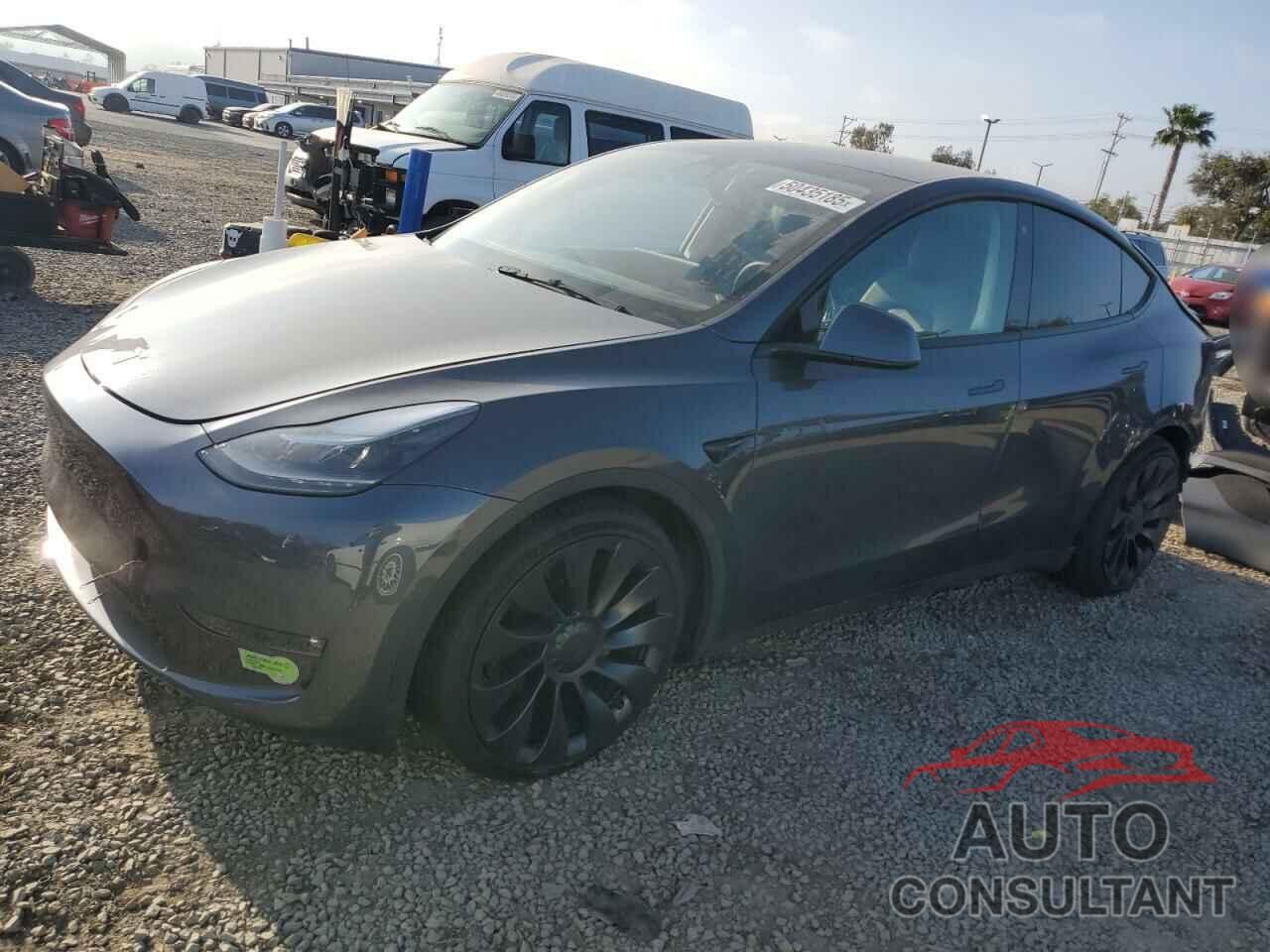 TESLA MODEL Y 2022 - 7SAYGDEF5NF343093