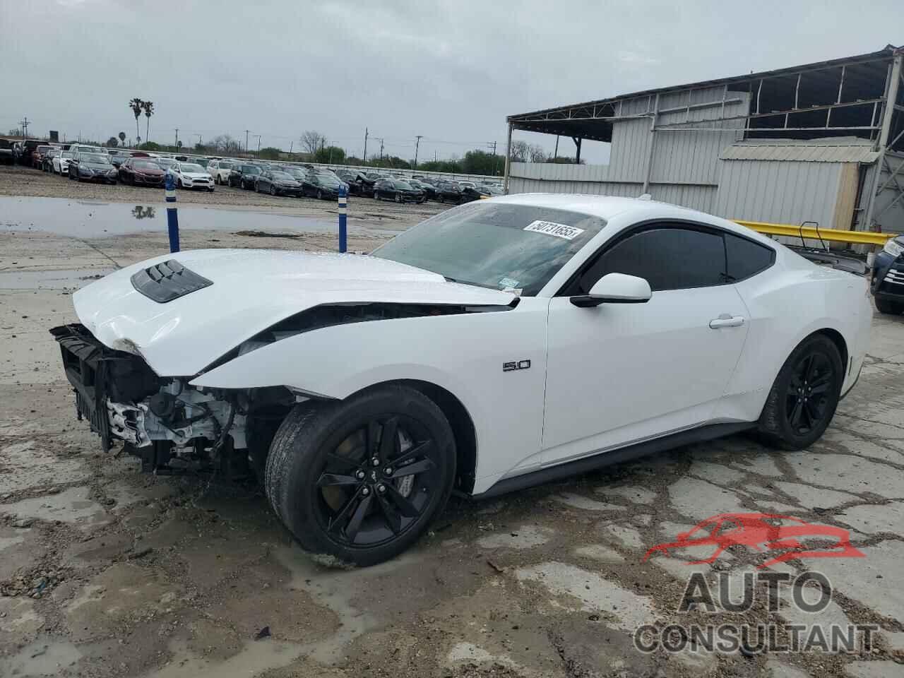 FORD MUSTANG 2024 - 1FA6P8CF8R5428697
