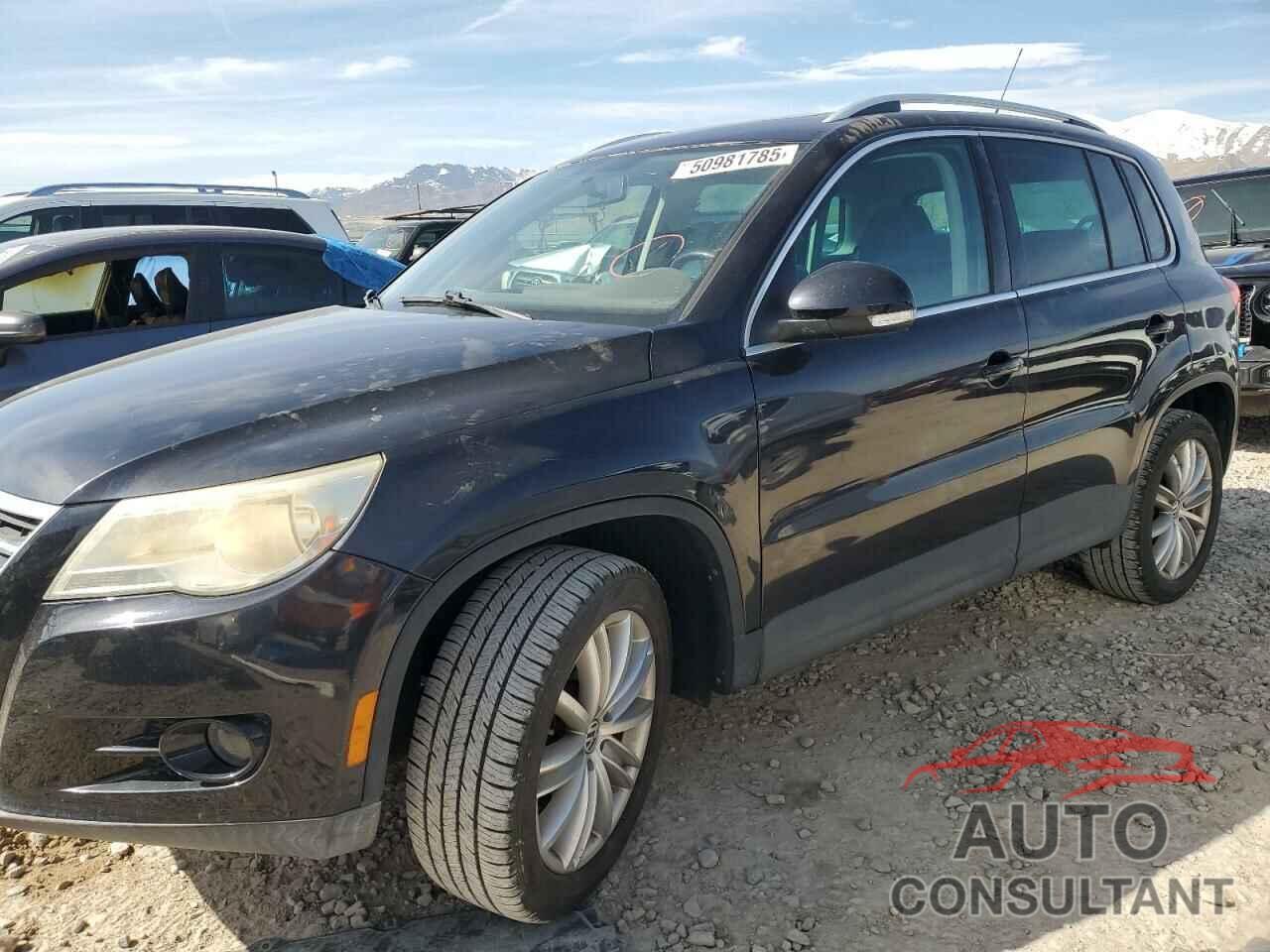 VOLKSWAGEN TIGUAN 2009 - WVGAV75N19W538828