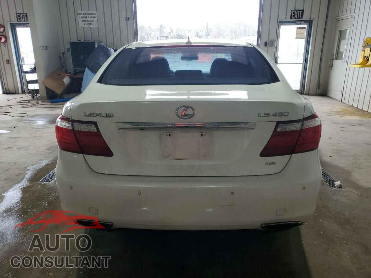 LEXUS LS460 2009 - JTHCL46F695002017
