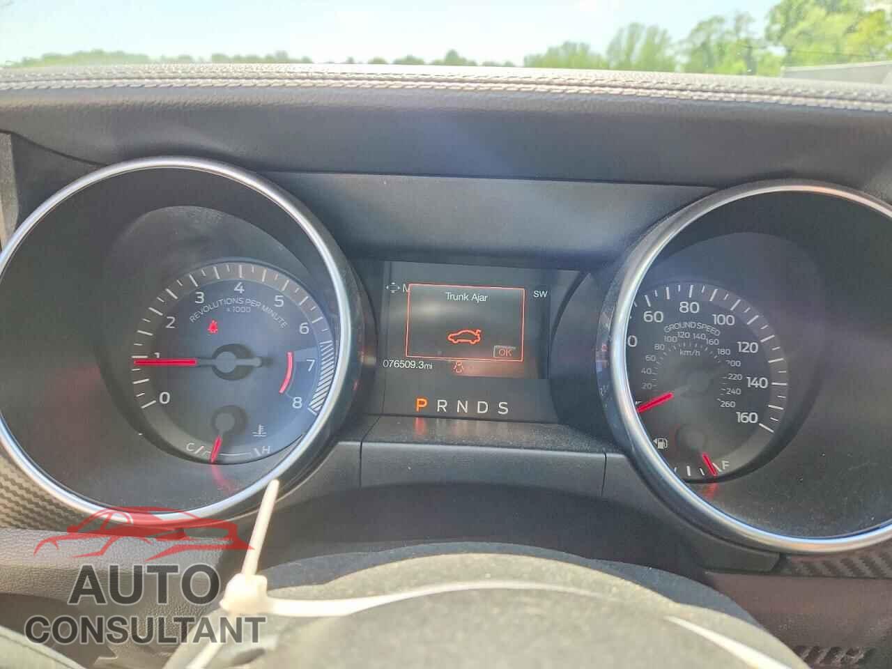 FORD MUSTANG 2021 - 1FA6P8TH8M5156033