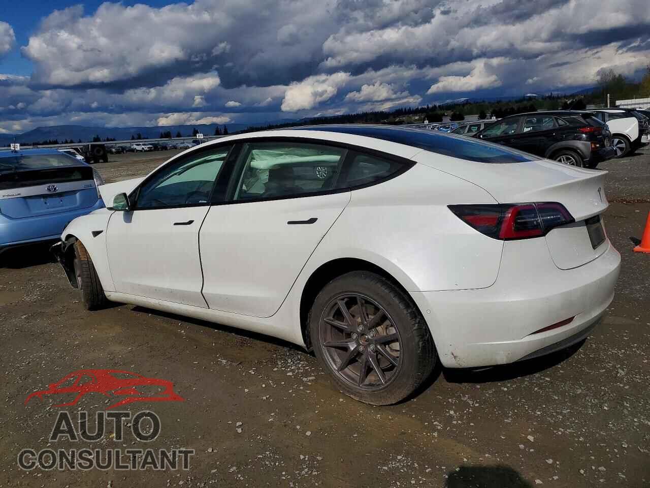 TESLA MODEL 3 2021 - 5YJ3E1EAXMF053138