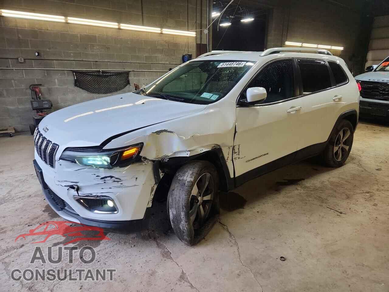 JEEP CHEROKEE 2019 - 1C4PJMDX3KD451185