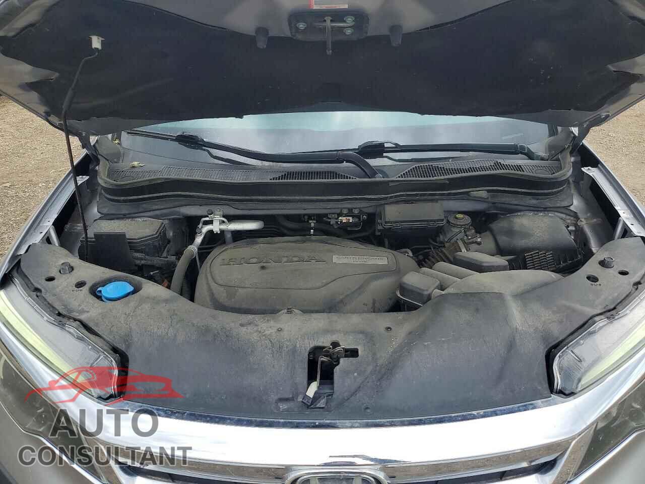 HONDA PILOT 2019 - 5FNYF6H43KB044154
