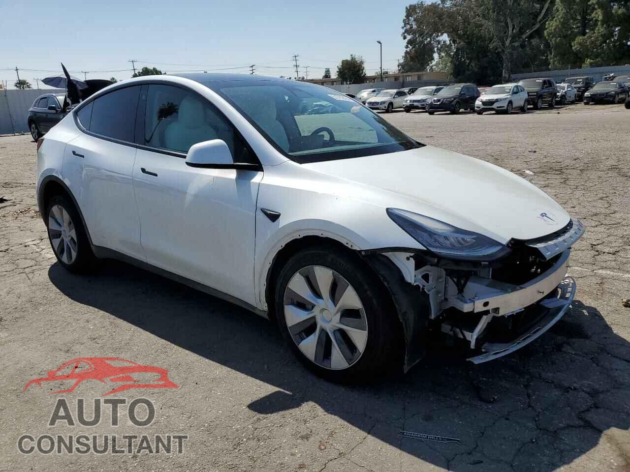 TESLA MODEL Y 2023 - 7SAYGDEE8PF616800