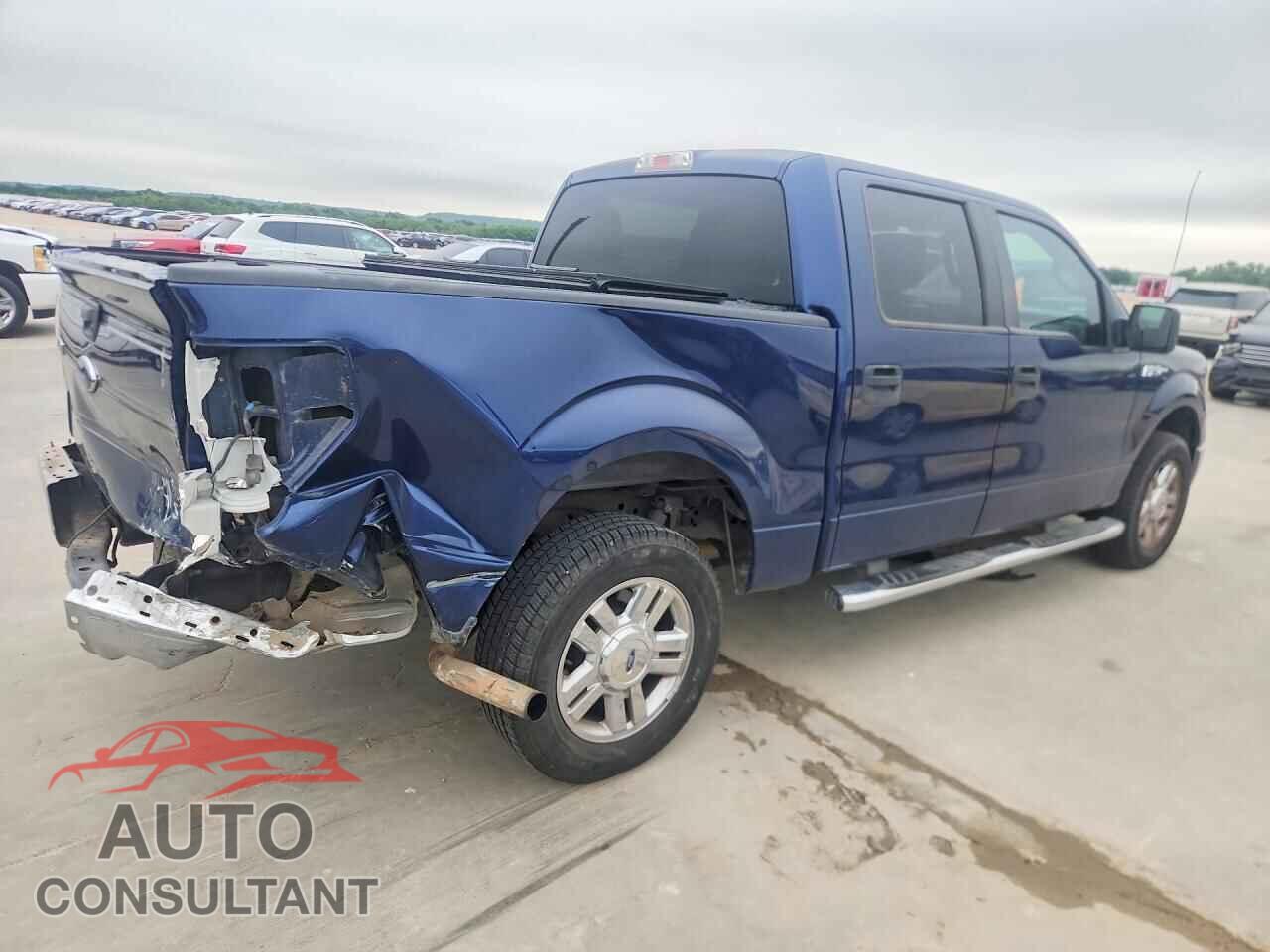 FORD F150 2010 - 1FTEW1C8XAFA27653