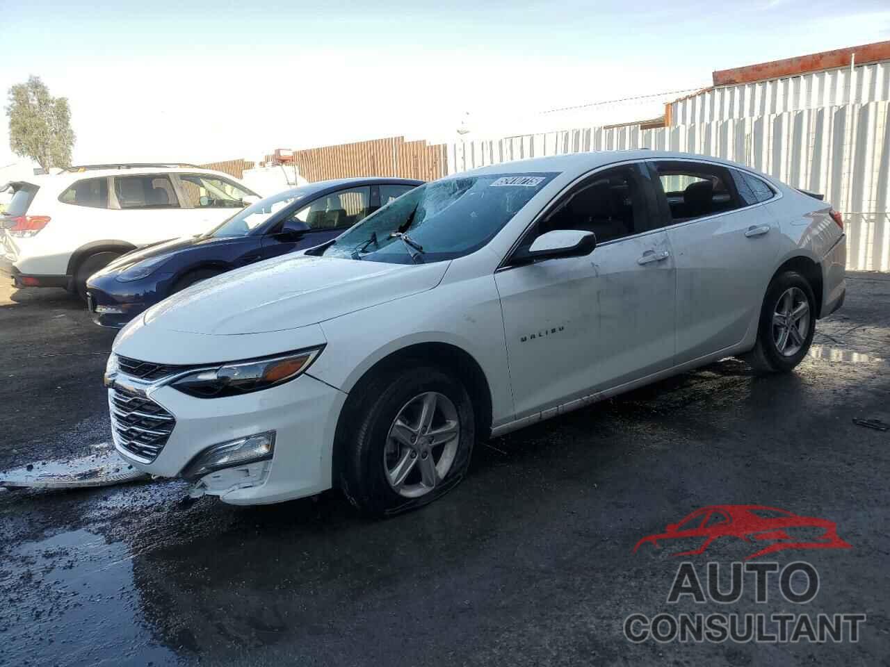 CHEVROLET MALIBU 2024 - 1G1ZB5ST6RF191240