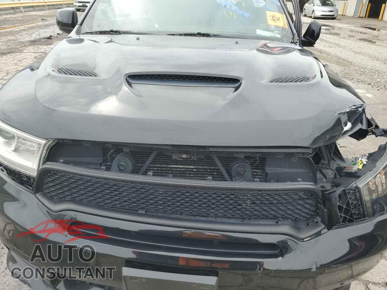 DODGE DURANGO 2019 - 1C4SDJCT6KC557568