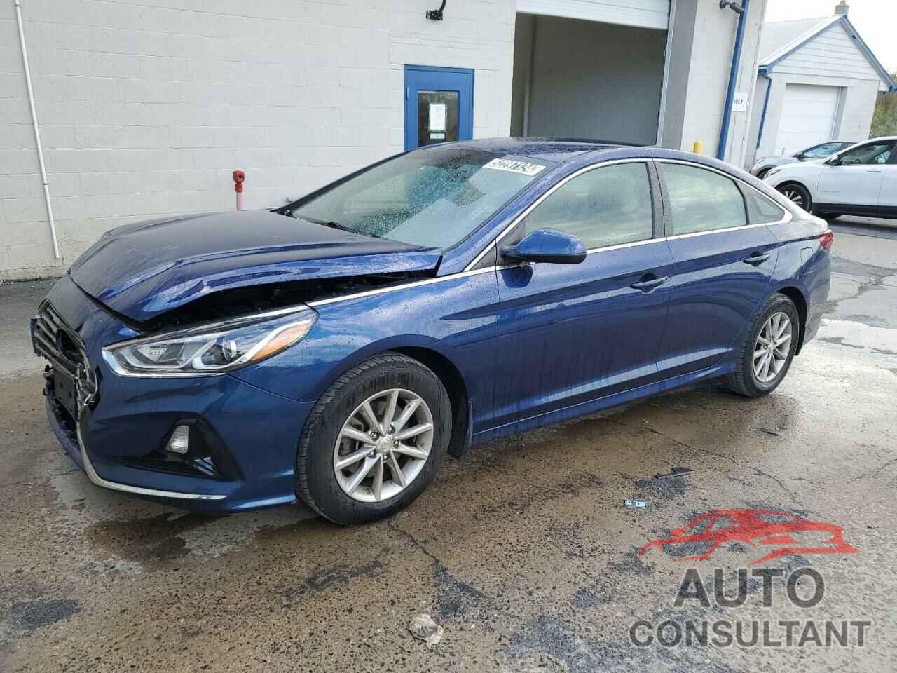 HYUNDAI SONATA 2019 - 5NPE24AF4KH806200