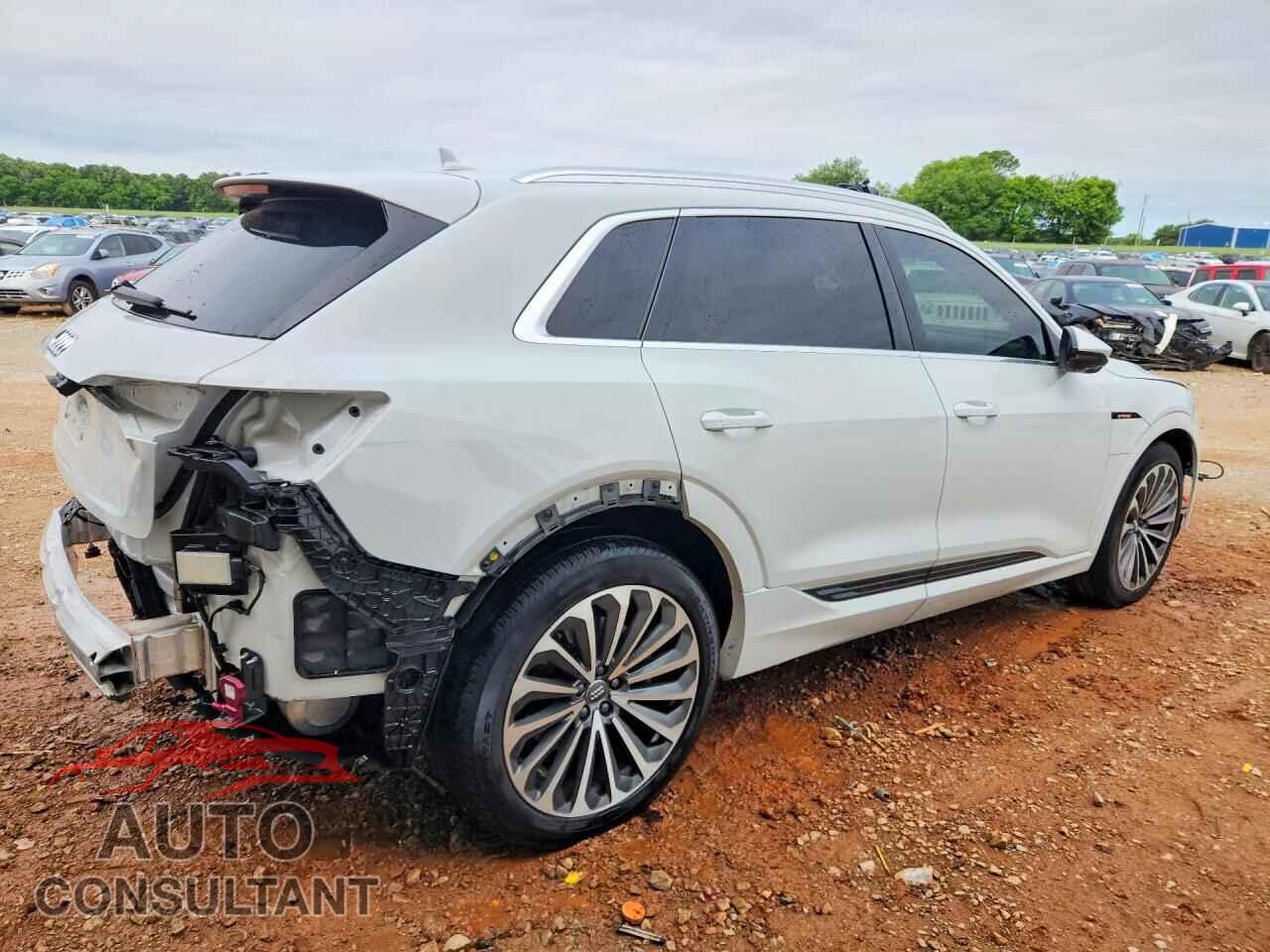 AUDI E-TRON 2019 - WA1VAAGE7KB022699