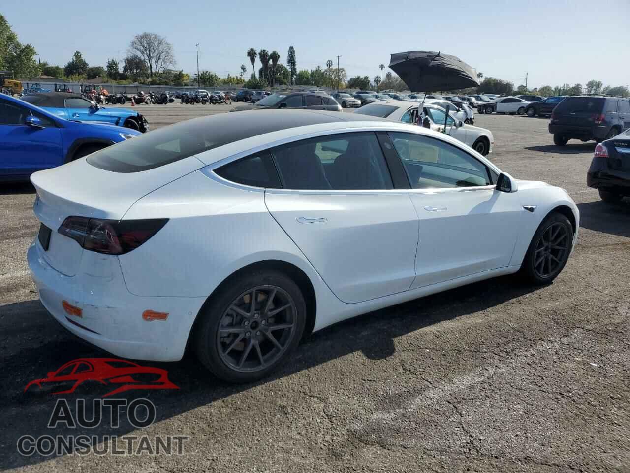 TESLA MODEL 3 2020 - 5YJ3E1EAXLF590509