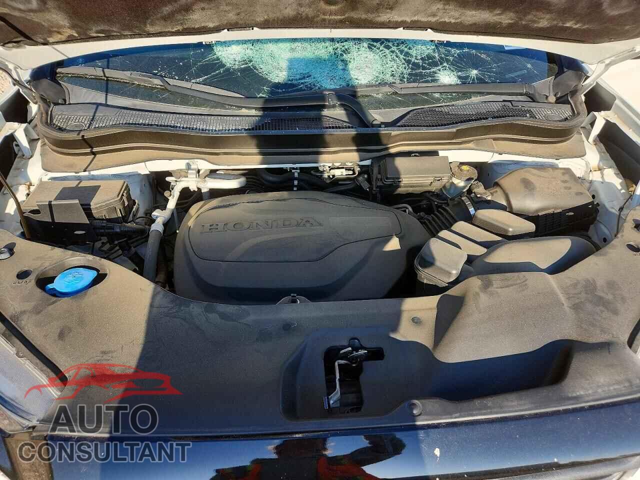 HONDA RIDGELINE 2021 - 5FPYK3F82MB006750