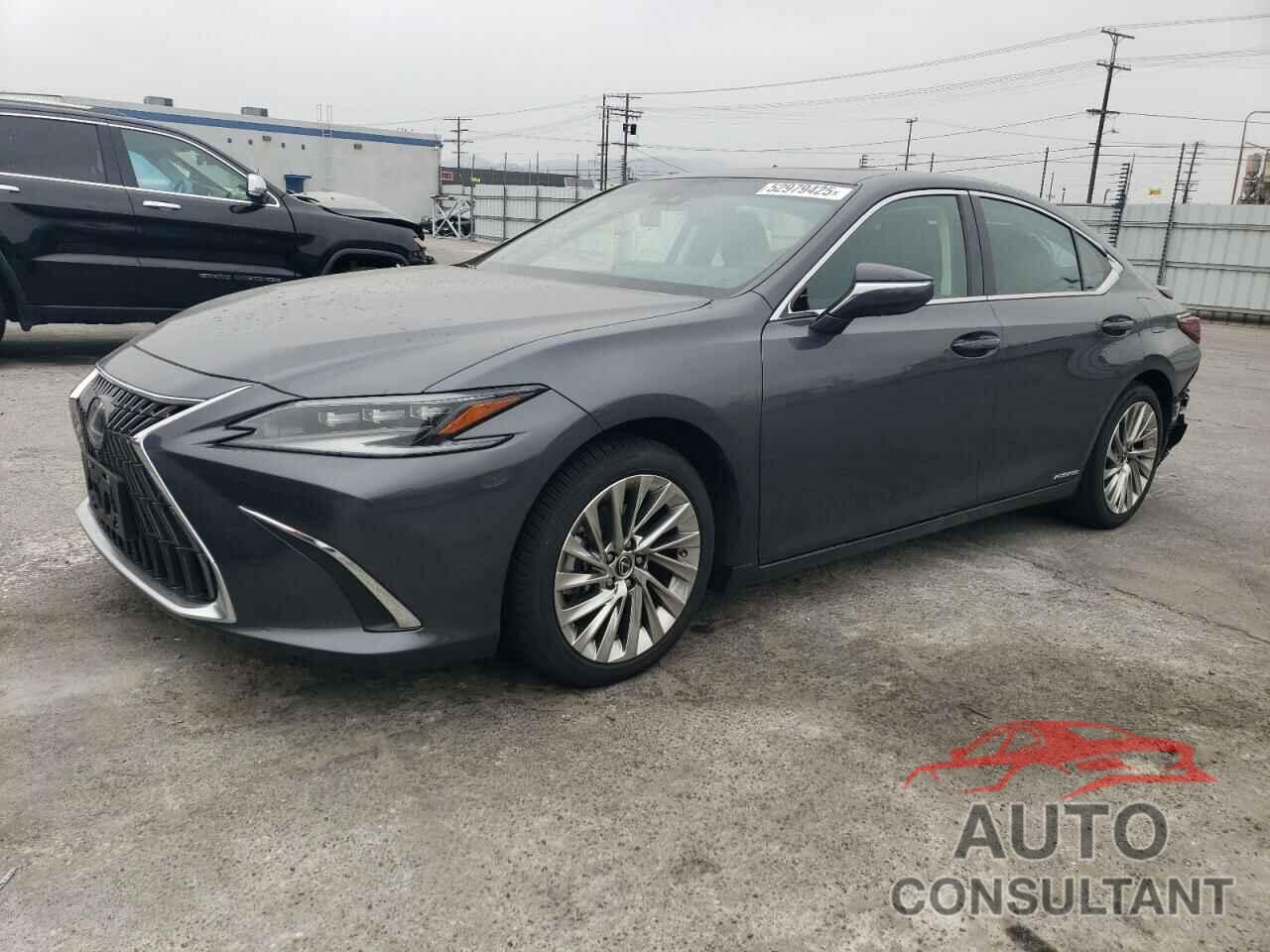 LEXUS ES300 2022 - 58AEA1C15NU018933