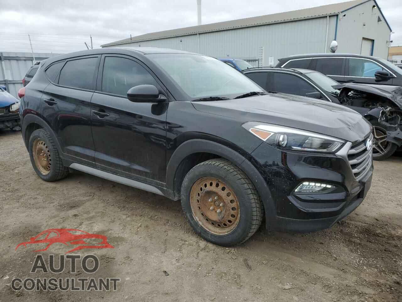 HYUNDAI TUCSON 2017 - KM8J2CA46HU444632