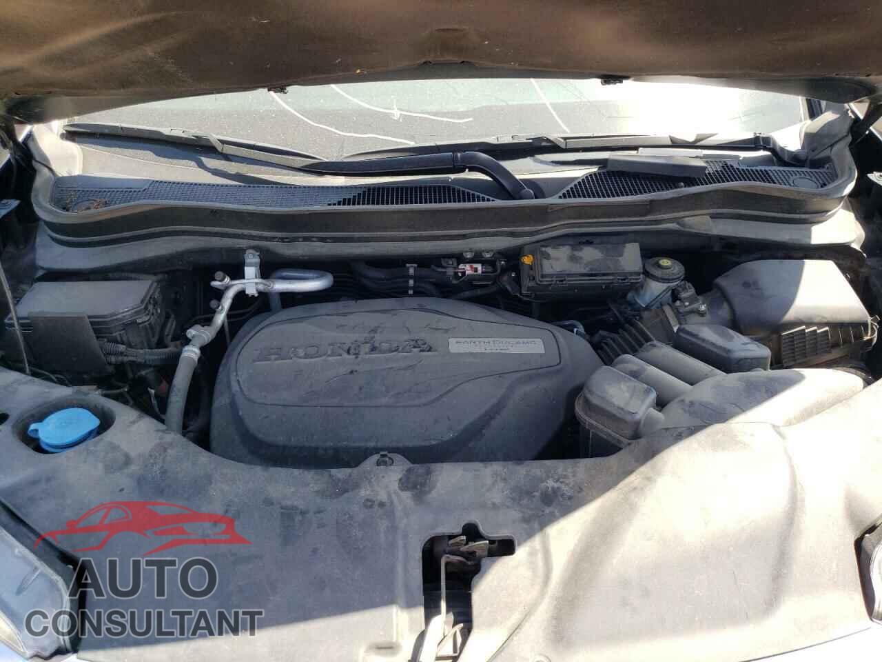 HONDA PILOT 2019 - 5FNYF5H9XKB027986