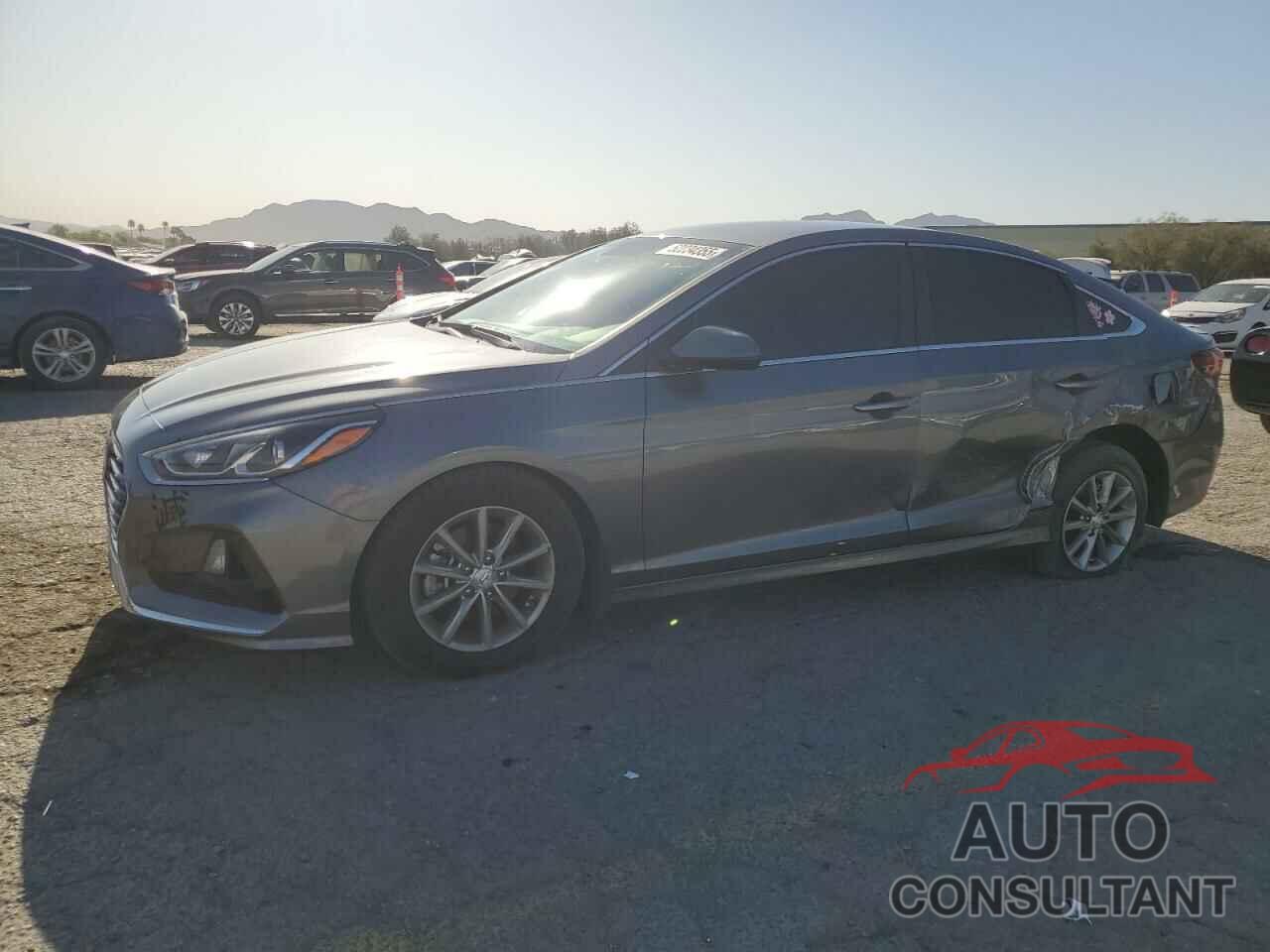 HYUNDAI SONATA 2019 - 5NPE24AF3KH781922