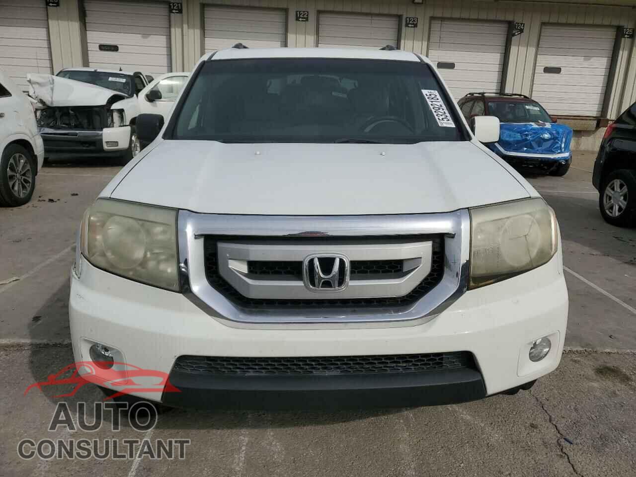 HONDA PILOT 2009 - 5FNYF48489B026876
