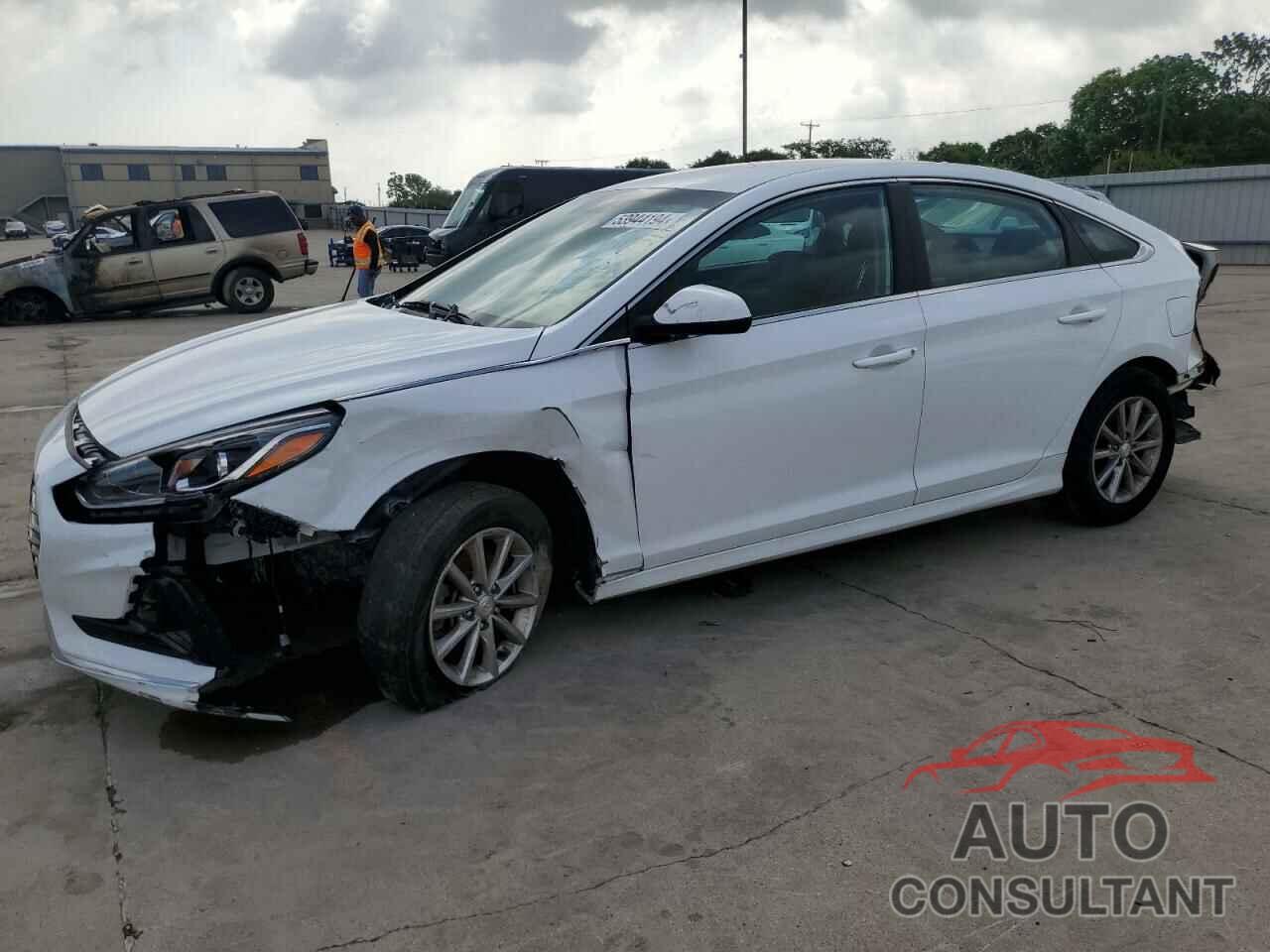 HYUNDAI SONATA 2019 - 5NPE24AF8KH756448