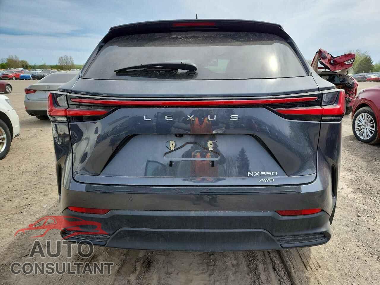 LEXUS UNKNOWN 2026 - 2T2GGCEZ8TC096887