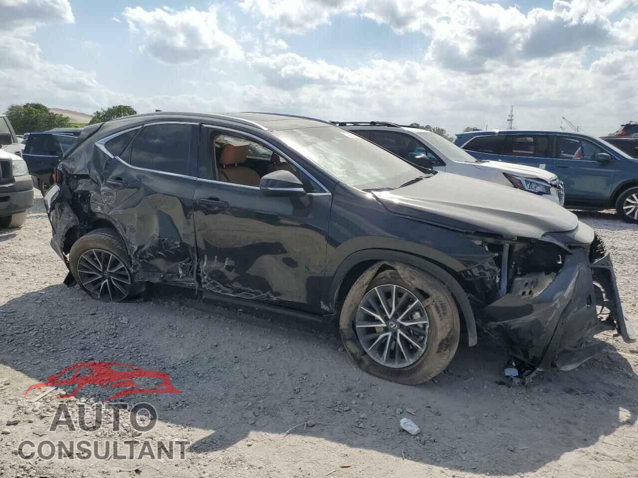 LEXUS NX 250 PRE 2025 - 2T2GDCAZ4SC022704