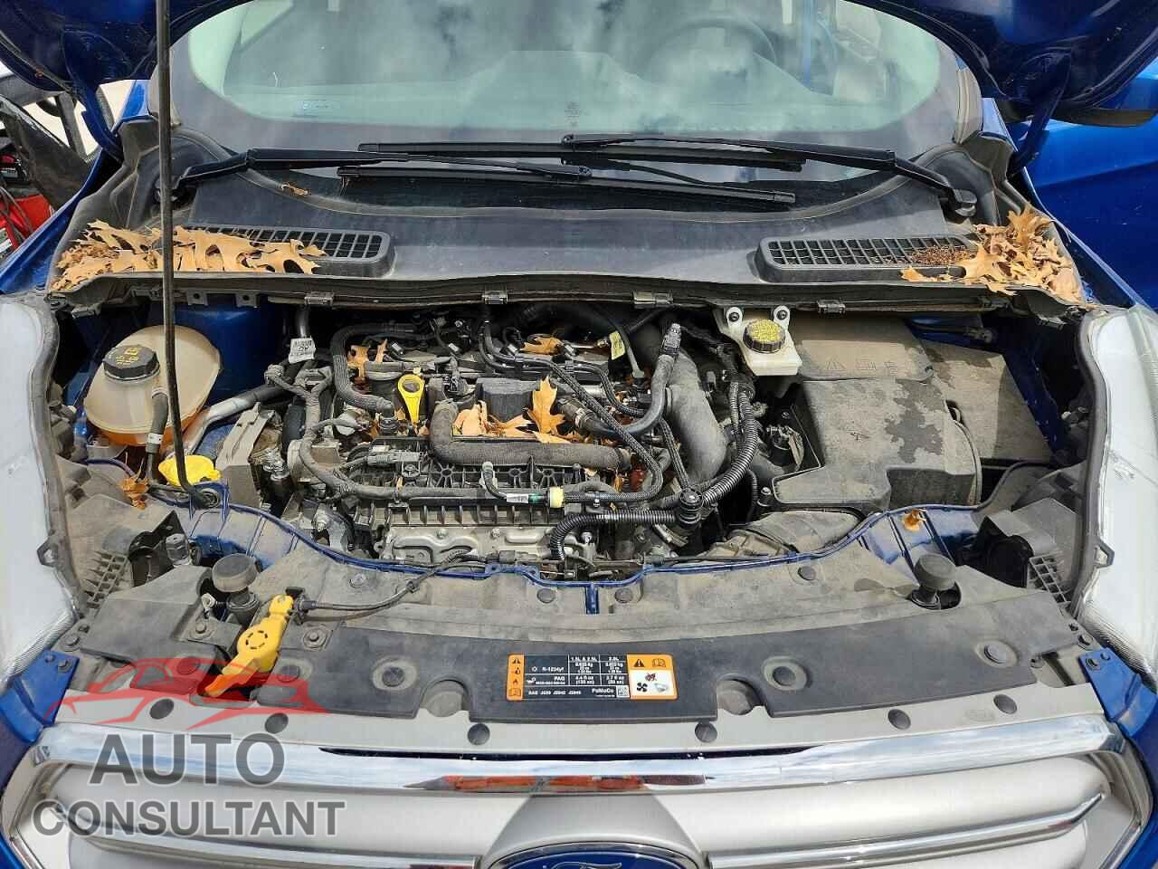 FORD ESCAPE 2019 - 1FMCU0GD7KUB56635