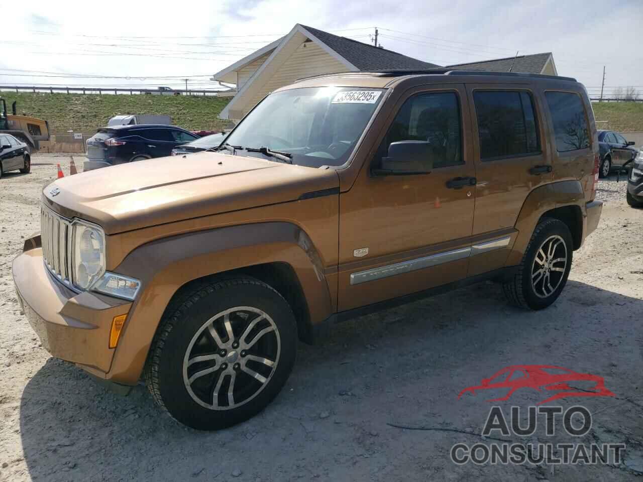 JEEP LIBERTY 2011 - 1J4PN5GK7BW558796