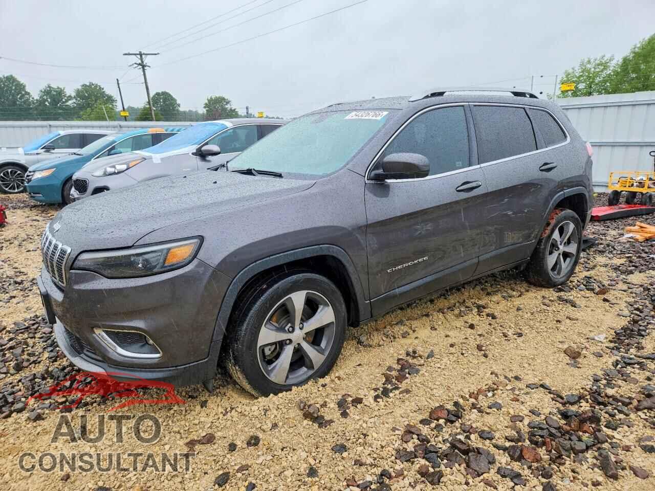 JEEP CHEROKEE 2019 - 1C4PJLDB9KD109688