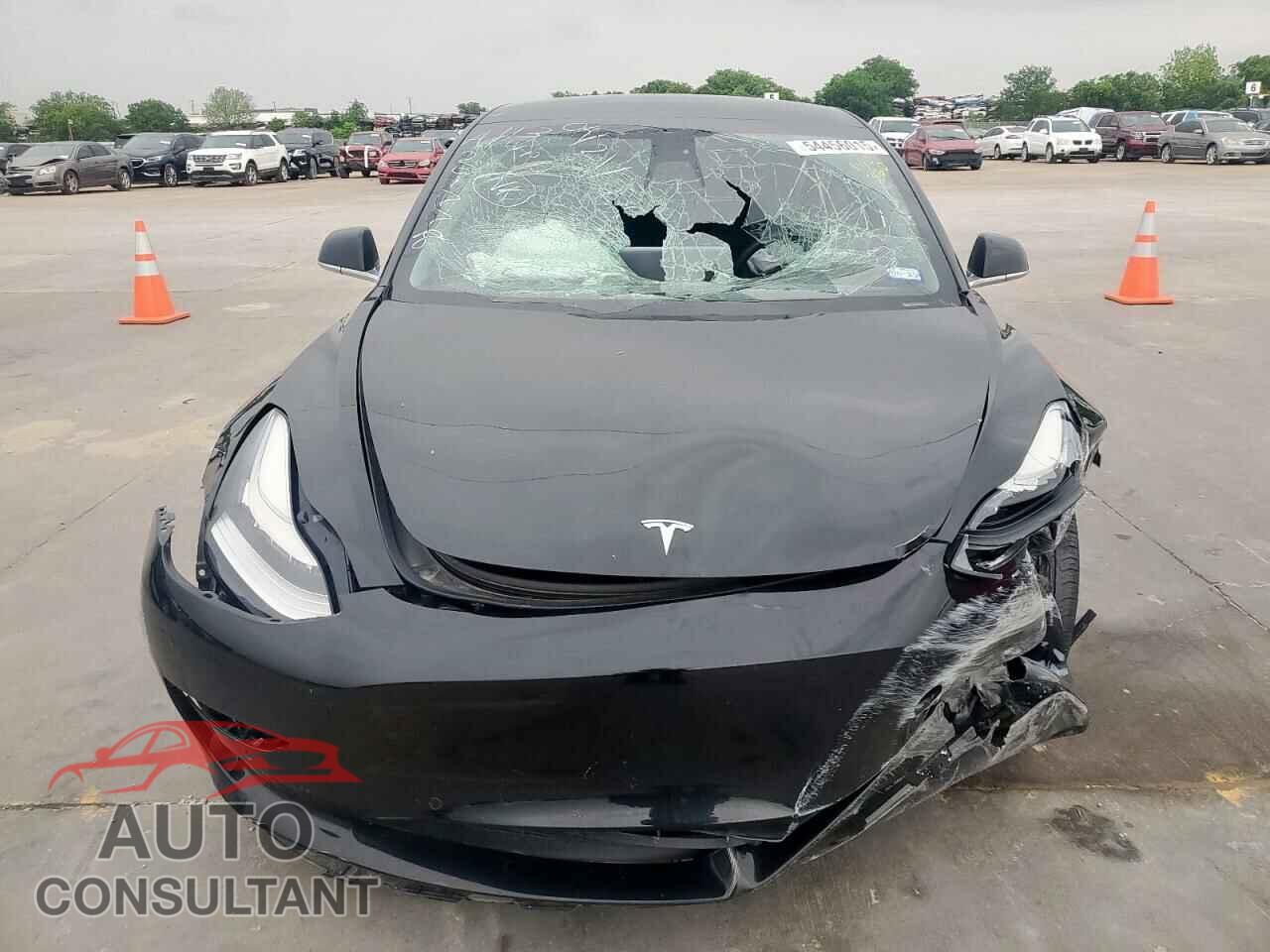 TESLA MODEL 3 2019 - 5YJ3E1EB7KF388928