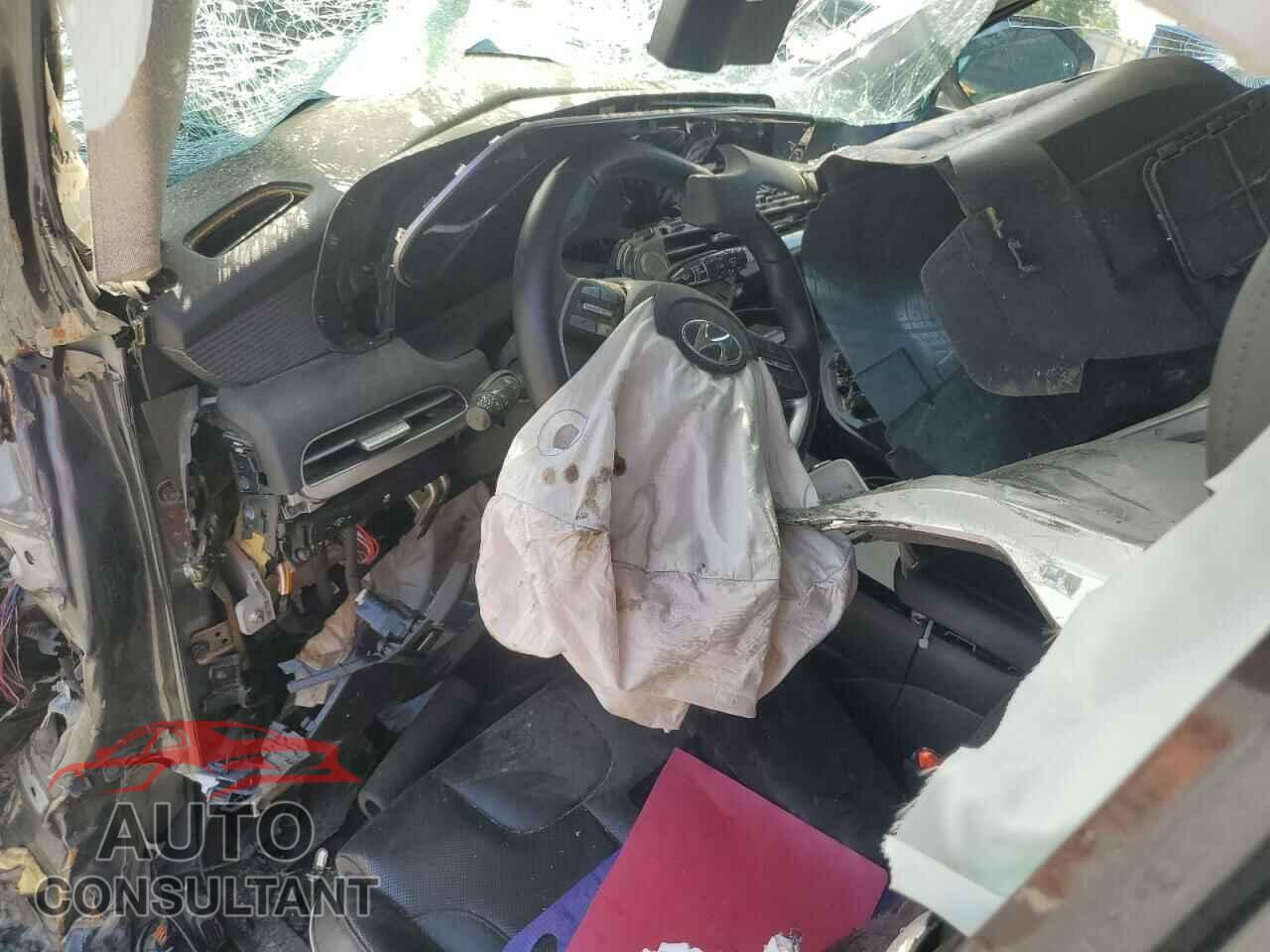 HYUNDAI PALISADE 2023 - KM8R54GEXPU545428