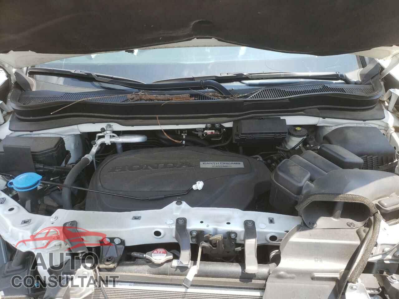 HONDA PILOT 2019 - 5FNYF5H50KB018808