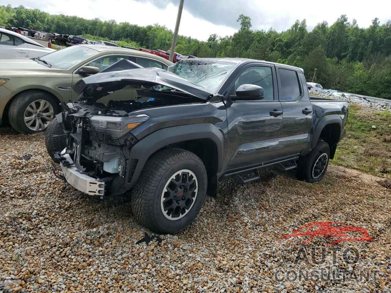TOYOTA TACOMA 2024 - 3TYLB5JN0RT026594
