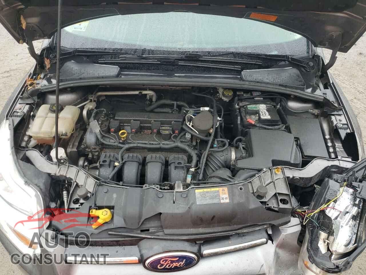 FORD FOCUS 2014 - 1FADP3F23EL187916
