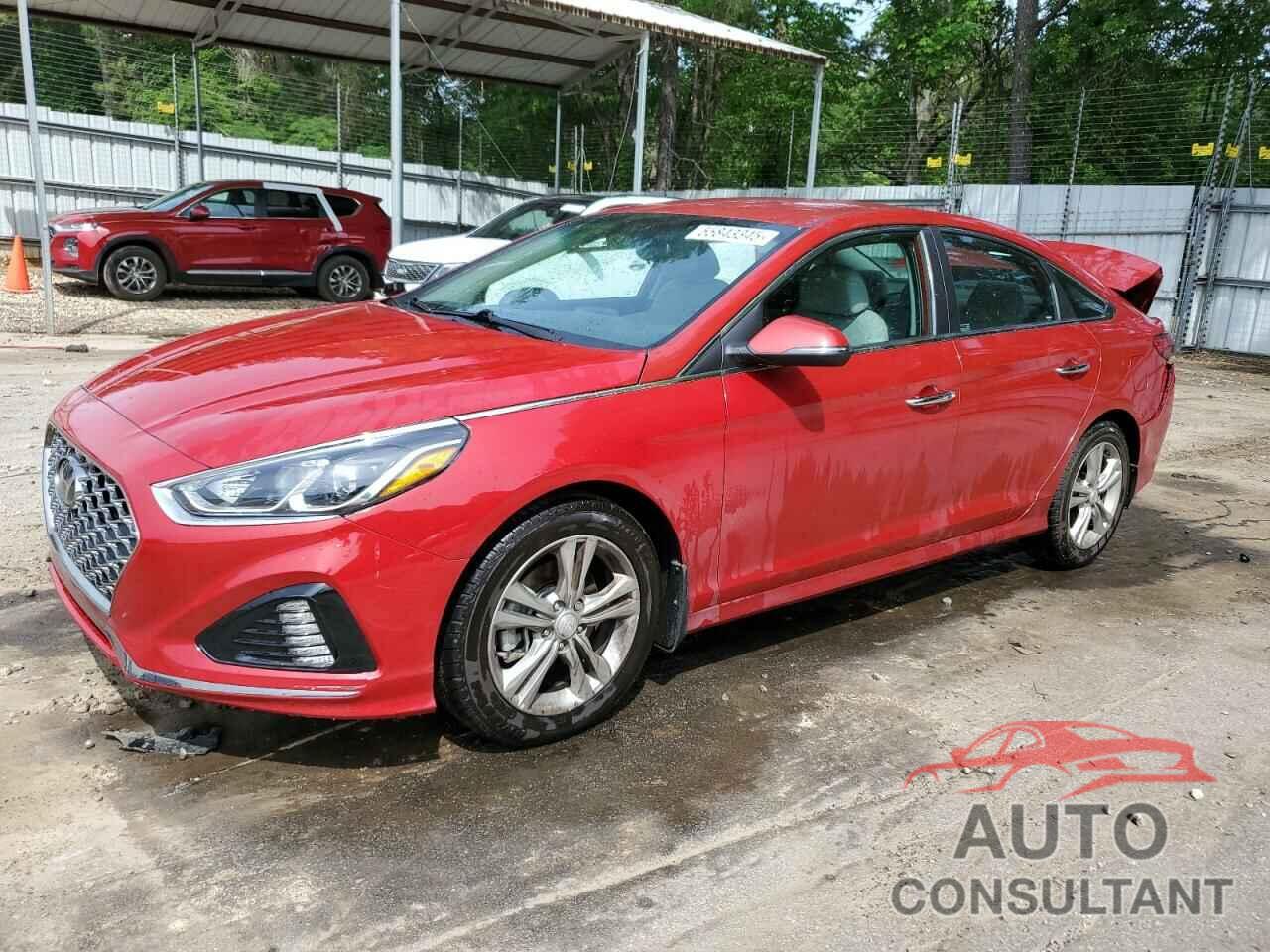 HYUNDAI SONATA 2019 - 5NPE34AF7KH792550