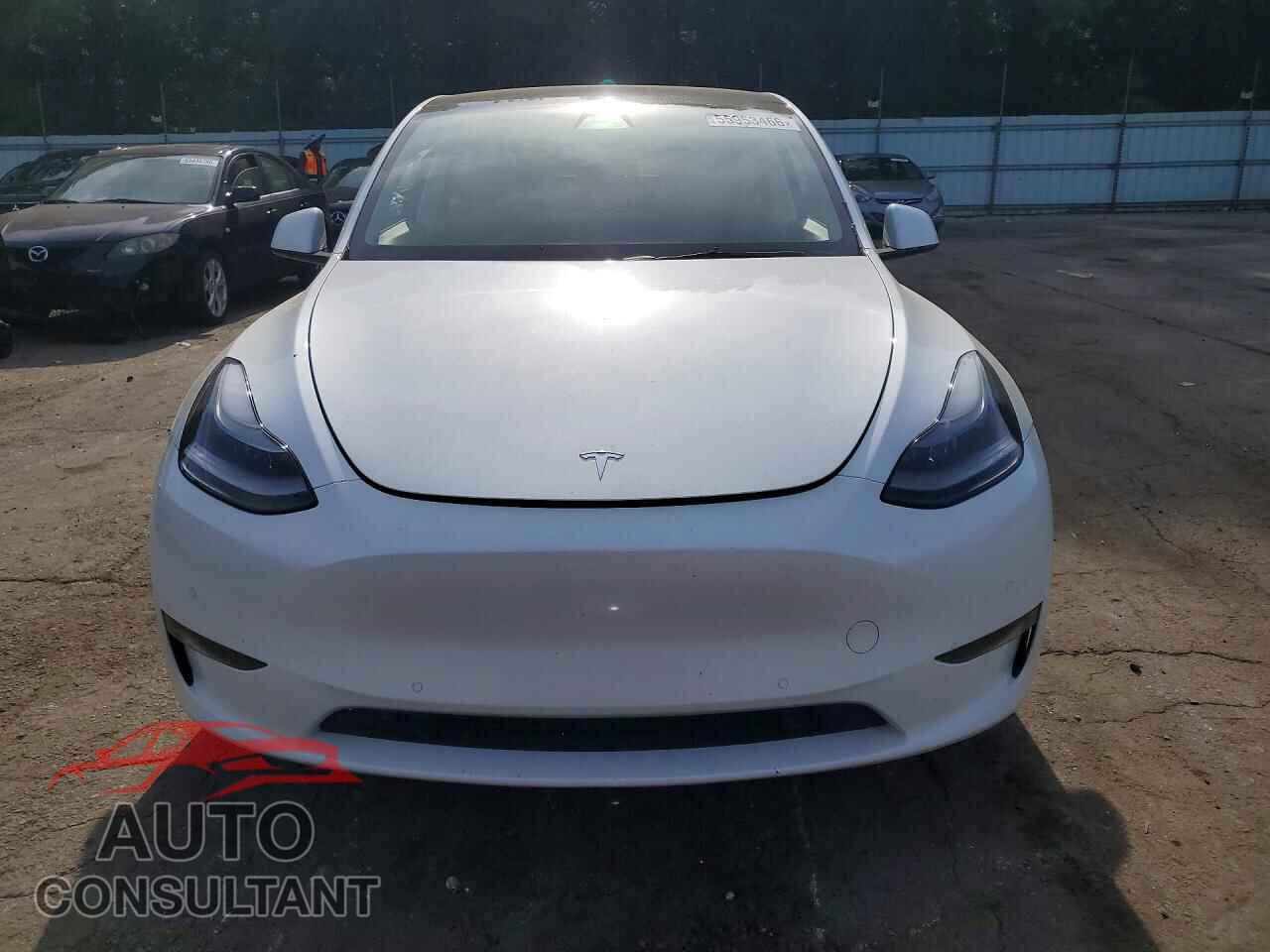 TESLA MODEL Y 2021 - 5YJYGDEFXMF259301