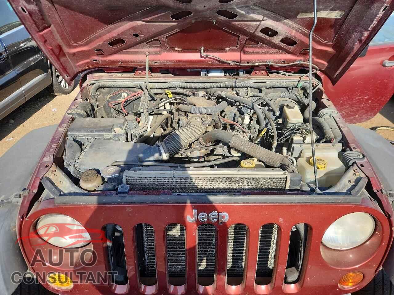 JEEP WRANGLER 2010 - 1J4AA2D14AL155189