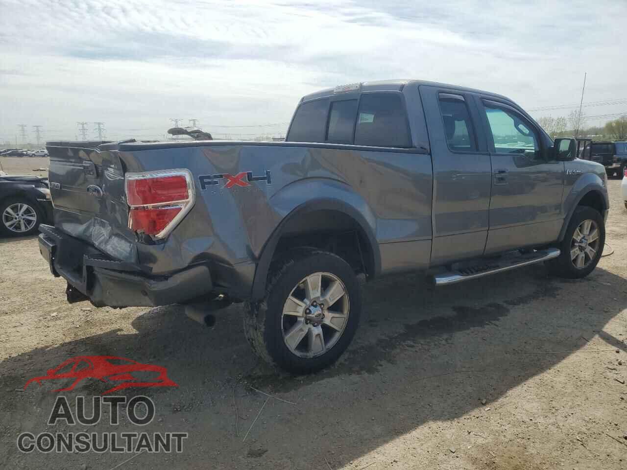 FORD F-150 2010 - 1FTFX1EV7AFB39461