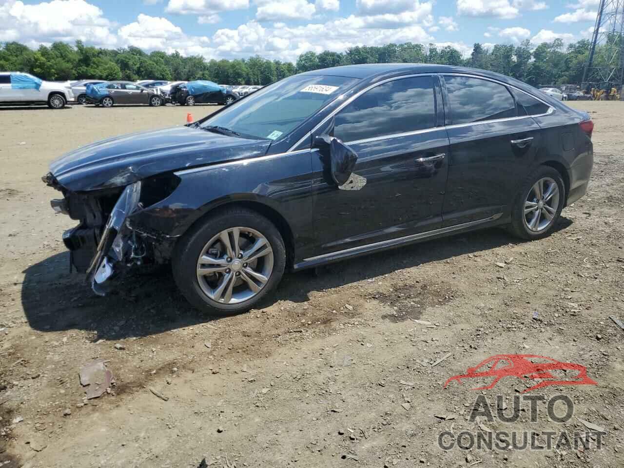HYUNDAI SONATA 2019 - 5NPE34AF6KH820421