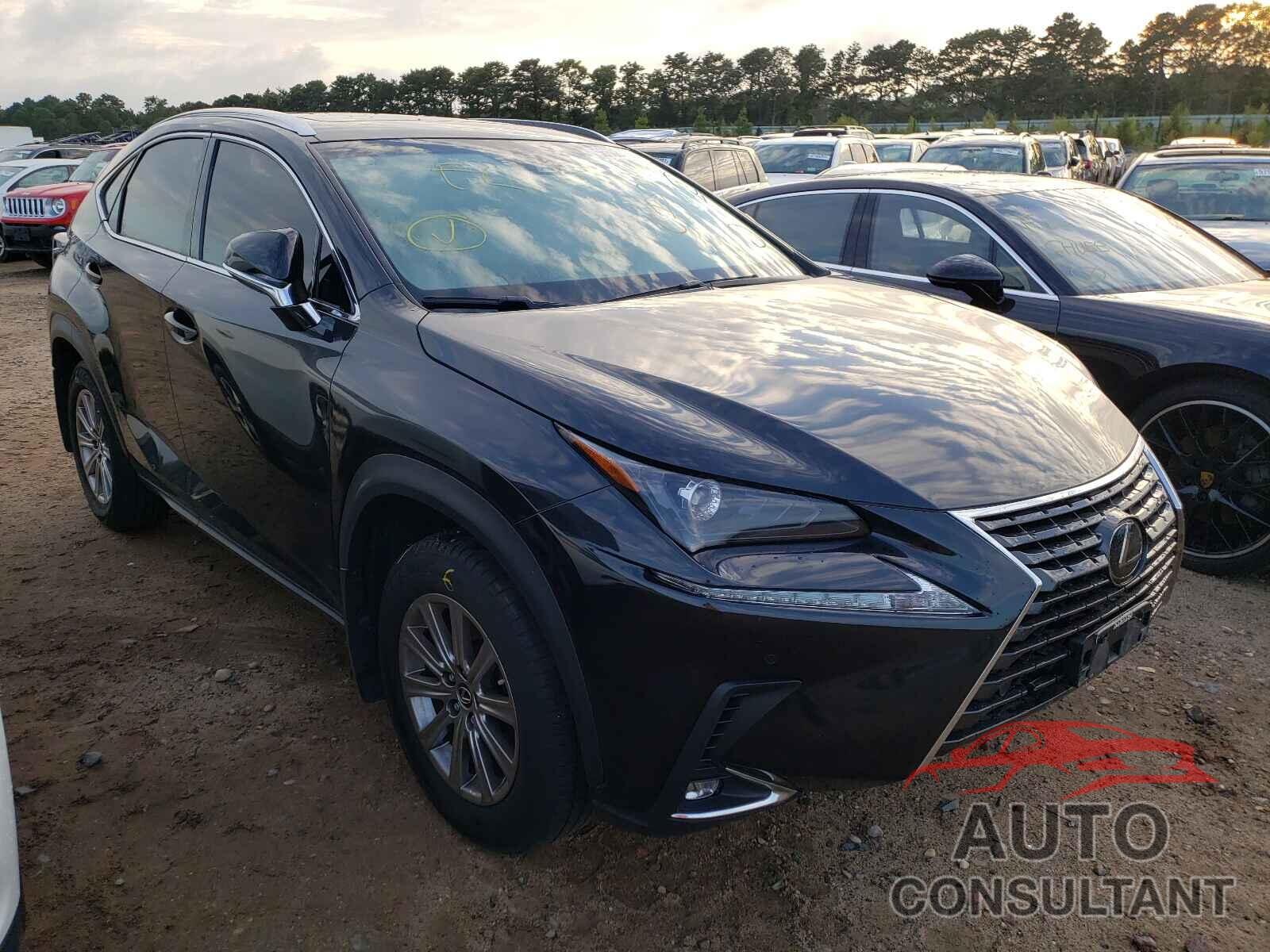 LEXUS NX 2019 - JTJBARBZ3K2185977