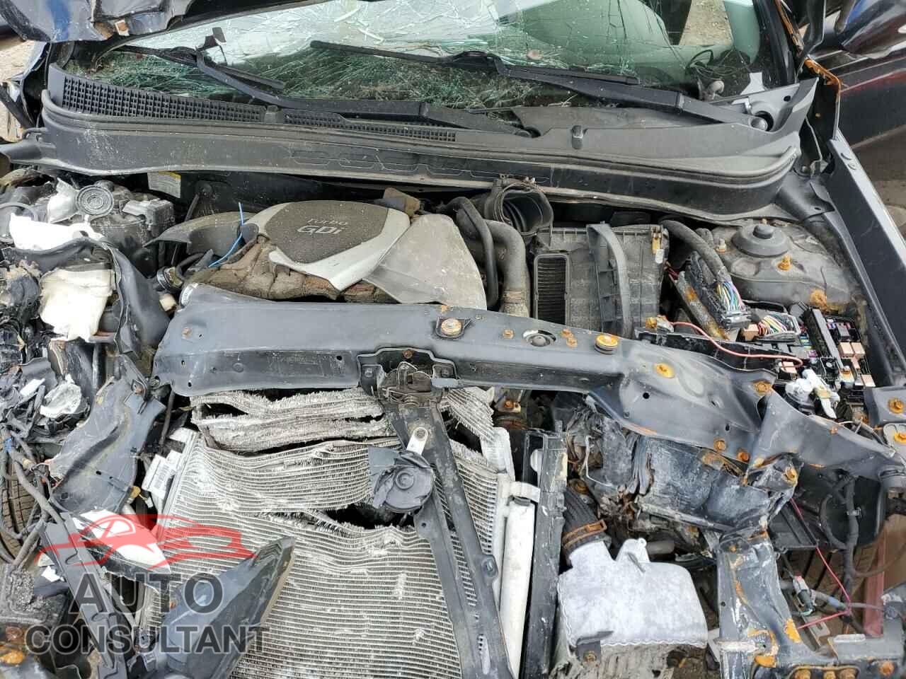 HYUNDAI SONATA 2011 - 5NPEC4AB5BH172504