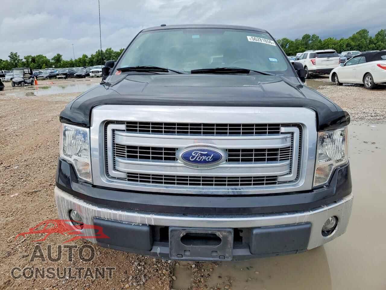 FORD F150 2013 - 1FTEW1CM8DKE69906