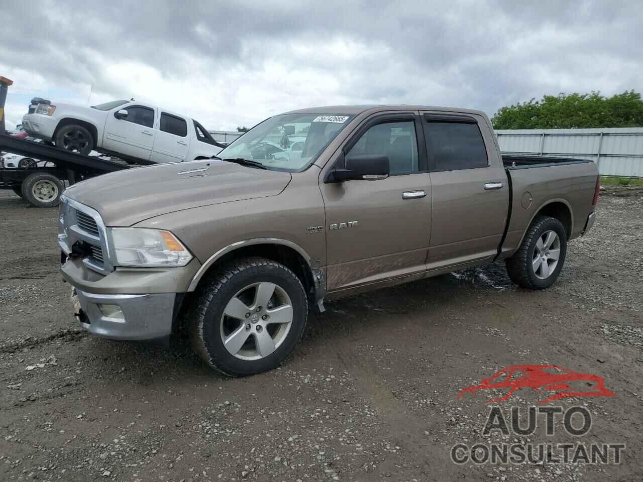 DODGE All Models 2009 - 1D3HV13T09S760034