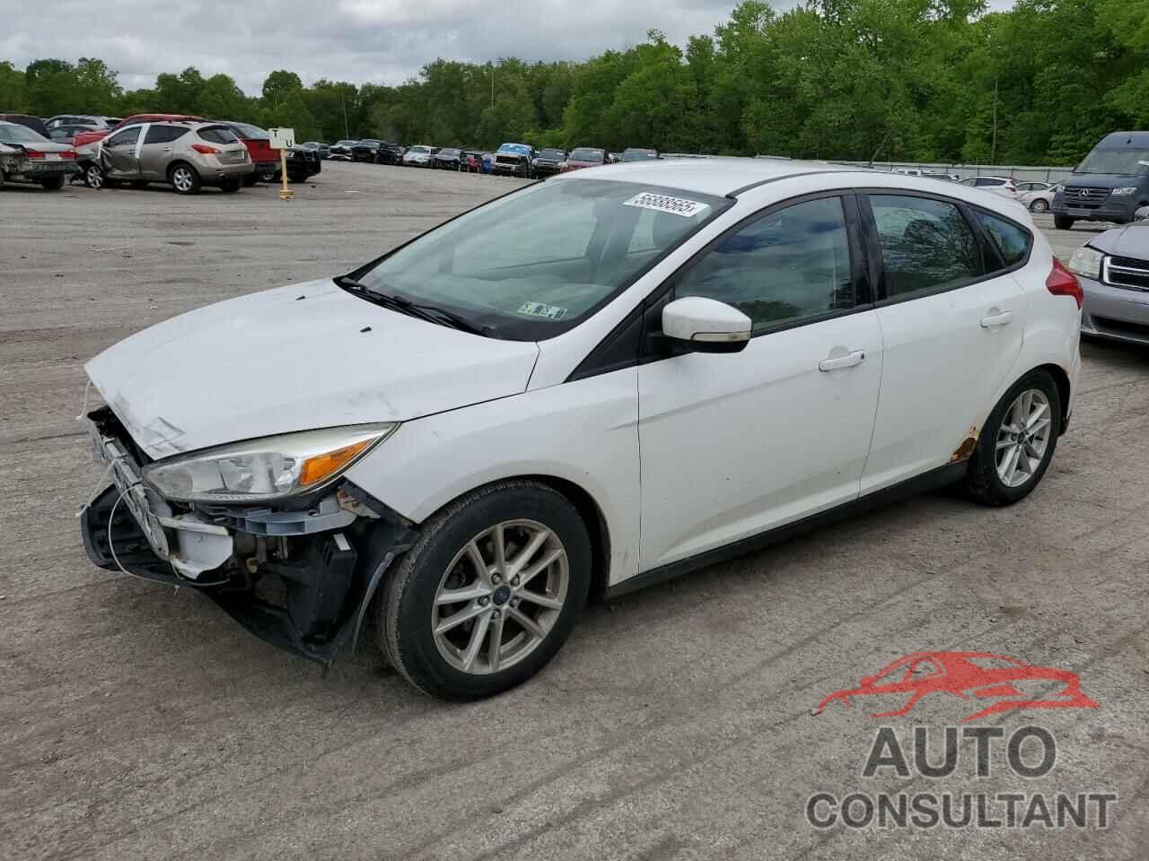 FORD FOCUS 2015 - 1FADP3K23FL262783