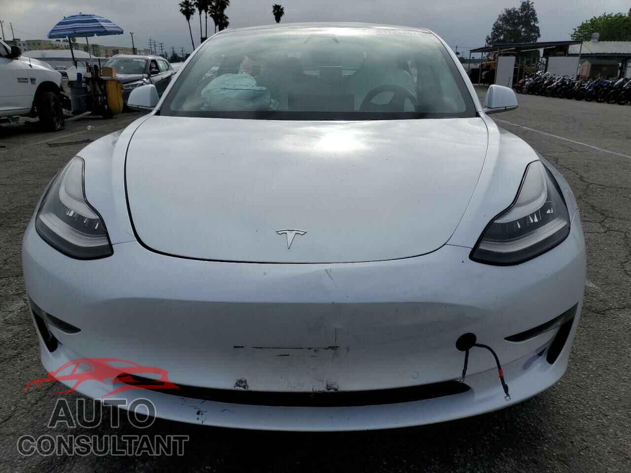 TESLA MODEL 3 2019 - 5YJ3E1EAXKF429382