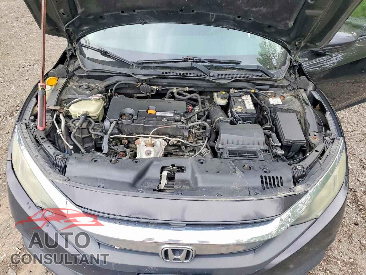 HONDA CIVIC 2016 - 2HGFC2F53GH012411